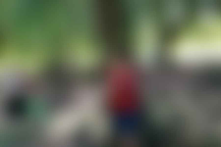 outdoor nerf battle forest