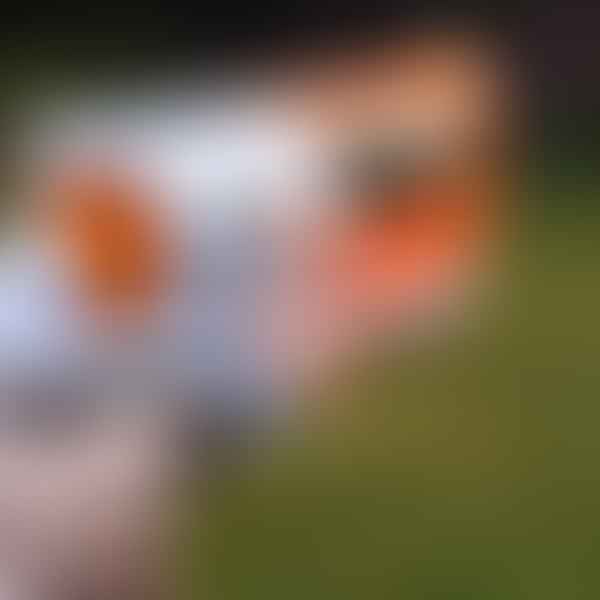 Motorized Mayhem: Ranking the Best Motorized Nerf Guns for Intense Battles