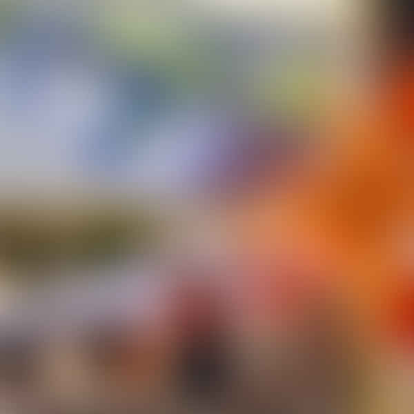 Overview of Nerf Rival Series: Is it the Ultimate Choice for Serious Nerf Warriors?